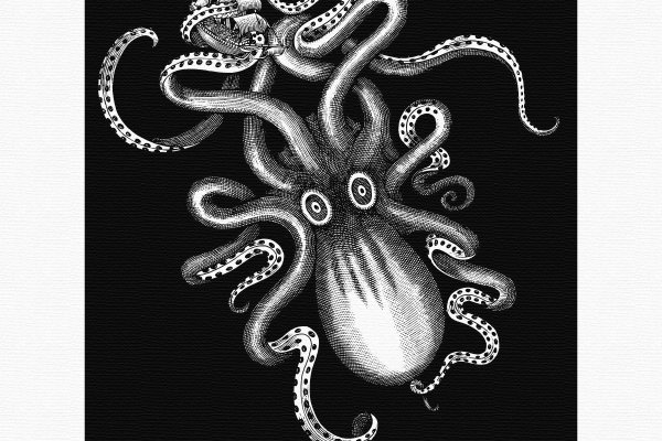 Kraken ссылка мечтаево