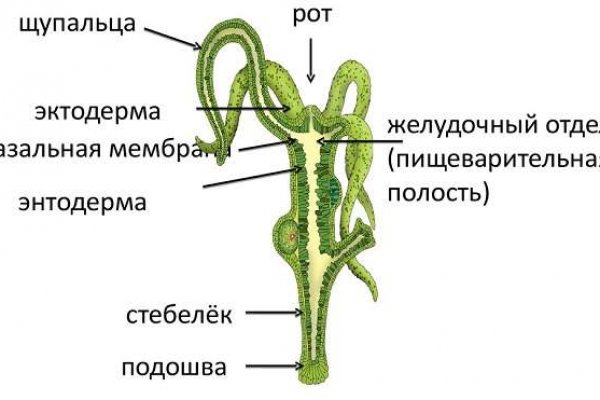 Маркетплейс omg даркнет