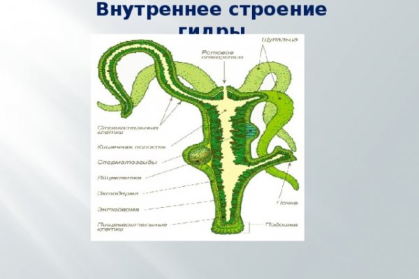 Зеркало kraken tor