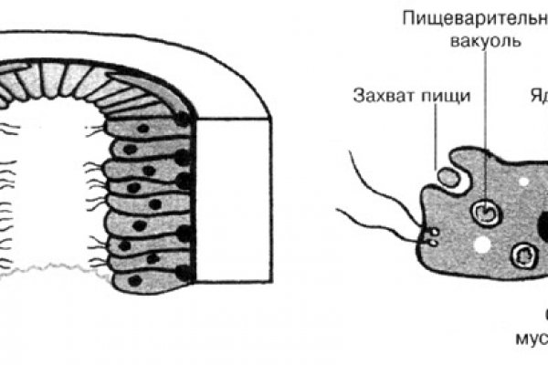 BlackSprut ссылка для тору