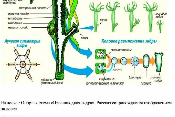 Кракен вы забанены что это