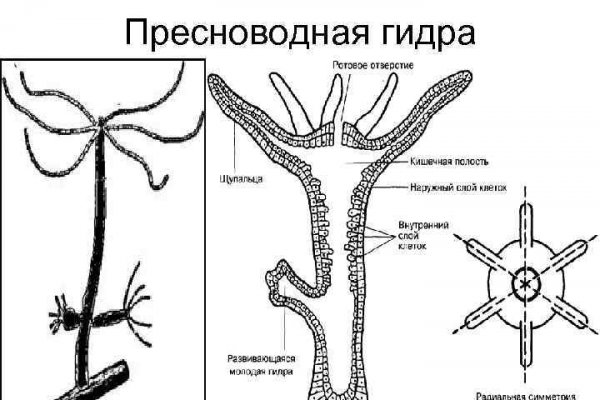 Сайт омг нарко магазин